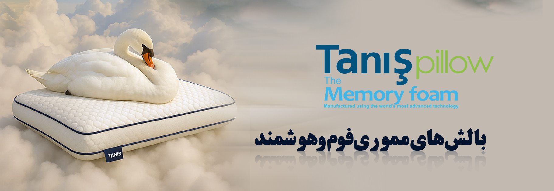 تانیش